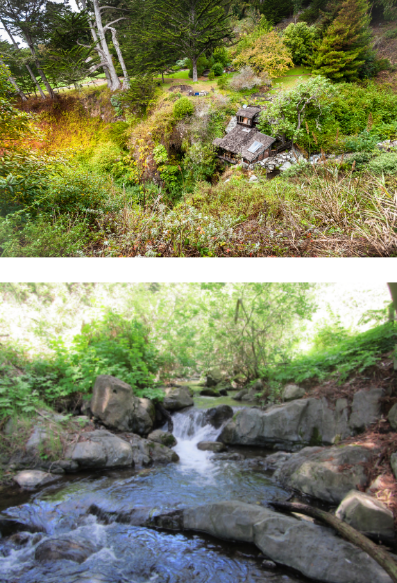 two photos stacked.  Top with grass and vegetation and the bottom image showcasing a shallow river and black rocks